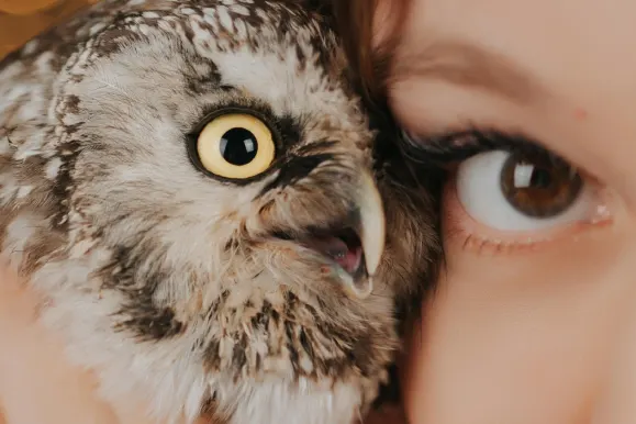 Kasino Fever Bingo Tuki